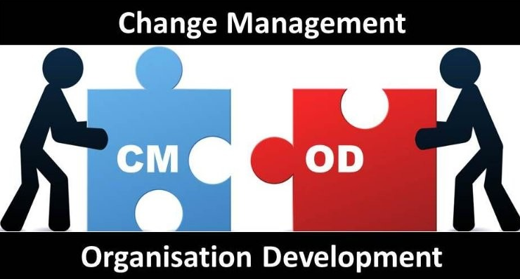 Organizational Change and Development